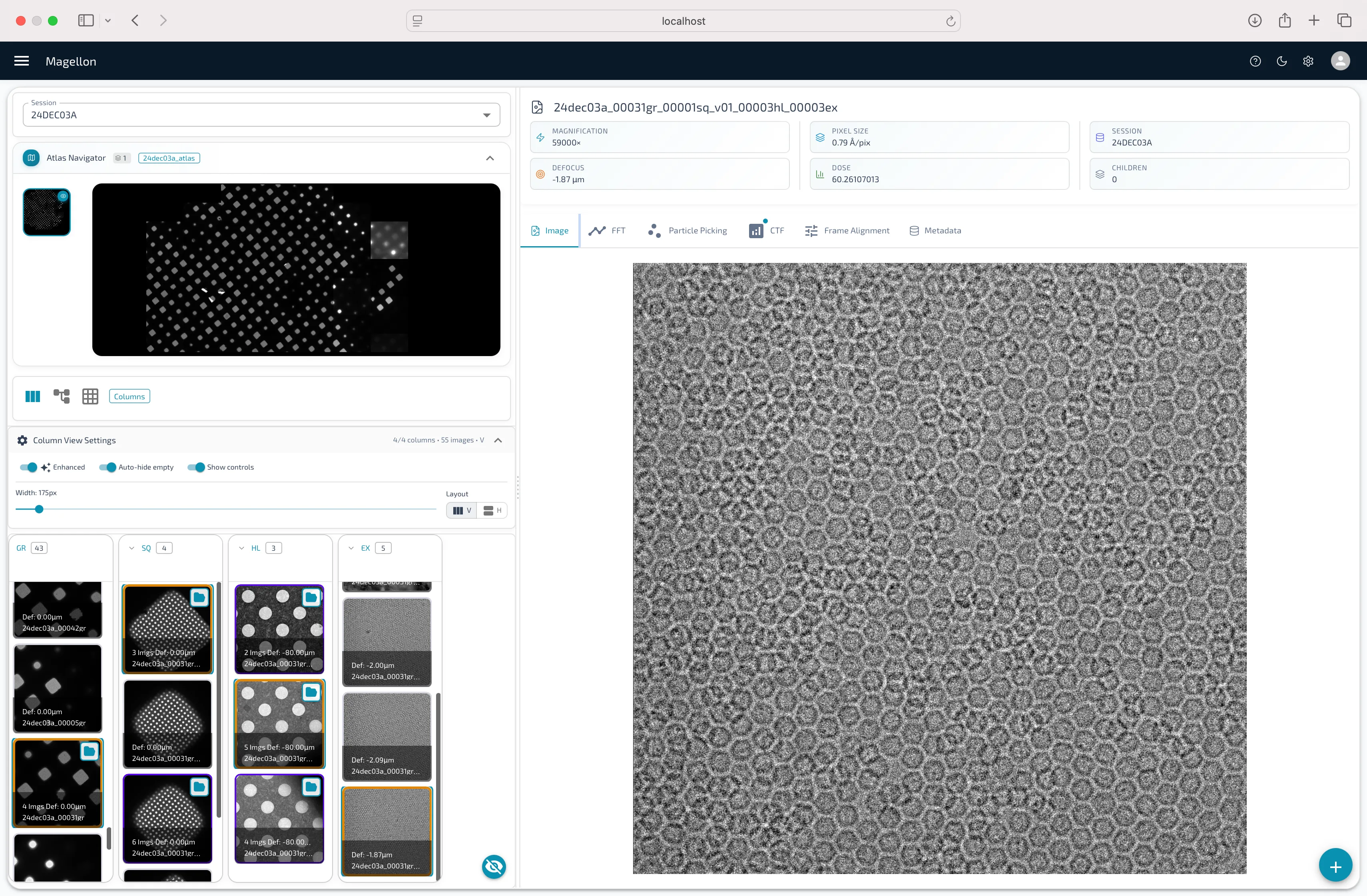 The Magellon workspace, showing the session navigator on the left, an active cryo-EM micrograph in the center, plugin tabs (Image, CTF, Particle Picking, frame alignment, metadata) across the top, and result thumbnails along the bottom